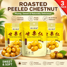Dile Luxury Snacks Sweet Chestnut 3.53Oz (100G) * 3 Packs