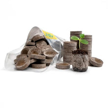 Jiffy 36mm Peat Soil Pellets, 100 Count — Complimentary Gift with $42+ Orders; If the Gift Is Out of Stock or Its Price Rises, Order Cancelled with Full Refund Before Shipment