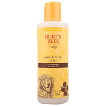 Burt's Bees for Pets Dog Paw and Nose Lotion, Rosemary Olive Oil, 4 Fl Oz — Complimentary Gift with $22+ Orders; If the Gift Is Out of Stock or Its Price Rises, Order Cancelled with Full Refund Before Shipment