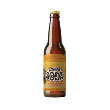 Minilla's Son Of Soda : Diet Root Beer Soda