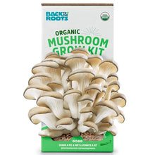Back to the Roots Organic Oyster Mushroom Grow Kit — Complimentary Gift with $33+ Orders; If the Gift Is Out of Stock or Its Price Rises, Order Cancelled with Full Refund Before Shipment