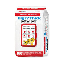 Petkin Pet Wipes for Dogs and Cats, 100 Large Wipes — Complimentary Gift with $34+ Orders; If the Gift Is Out of Stock or Its Price Rises, Order Cancelled with Full Refund Before Shipment