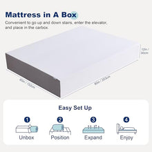 Amazon Basics Memory Foam Mattress 12 Inch Queen Soft Plush White/Grey — Complimentary Gift with $494+ Orders; If the Gift Is Out of Stock or Its Price Rises, Order Cancelled with Full Refund Before Shipment
