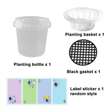 Hydroponic Planter Vase Kit with Decorative Decals, Clear Soilless Desktop Pot with Net Basket, Modern DIY Indoor Water Plant Container for Herbs & Pothos