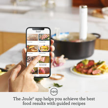 Breville Joule Turbo Sous Vide, 1100W Immersion Circulator, Polished Steel, Wi-Fi — Complimentary Gift with $370+ Orders; If the Gift Is Out of Stock or Its Price Rises, Order Cancelled with Full Refund Before Shipment