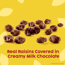 Raisinets Dark Chocolate Covered Raisins, Gluten-free California Movie Theater Candy Box 3.1 oz, Bulk 15 Pack