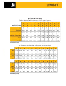Carhartt Men's Paxton Sweatshirt — Complimentary Gift with $111+ Orders; If the Gift Is Out of Stock or Its Price Rises, Order Cancelled with Full Refund Before Shipment