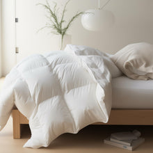 Maple&amp;Stone Feather Down Comforter Queen, All Season Duvet Insert — Complimentary Gift with $78+ Orders; If the Gift Is Out of Stock or Its Price Rises, Order Cancelled with Full Refund Before Shipment