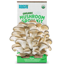 Back to the Roots Organic Oyster Mushroom Grow Kit — Complimentary Gift with $33+ Orders; If the Gift Is Out of Stock or Its Price Rises, Order Cancelled with Full Refund Before Shipment