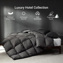 Grey Goose Feather Down Comforter Queen Size, Duvet Insert, Hotel Style Comforter, 42 Oz (90x90, Dark Grey) — Complimentary Gift with $78+ Orders; If the Gift Is Out of Stock or Its Price Rises, Order Cancelled with Full Refund Before Shipment