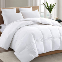 TEXARTIST White Queen Comforter, All Season Down Alternative Duvet Insert — Complimentary Gift with $78+ Orders; If the Gift Is Out of Stock or Its Price Rises, Order Cancelled with Full Refund Before Shipment
