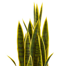 Nearly Natural 33” Sansevieria Artificial Silk Plants Green — Complimentary Gift with $175+ Orders; If the Gift Is Out of Stock or Its Price Rises, Order Cancelled with Full Refund Before Shipment