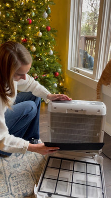 Coway Airmega 200M Air Purifier — Complimentary Gift with $354+ Orders; If the Gift Is Out of Stock or Its Price Rises, Order Cancelled with Full Refund Before Shipment