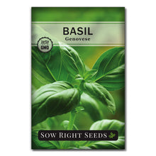 Sow Right Seeds Genovese Sweet Basil Herb Seeds — Complimentary Gift with $20+ Orders; If the Gift Is Out of Stock or Its Price Rises, Order Cancelled with Full Refund Before Shipment