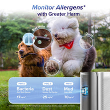LEVOIT EverestAir-P Smart Air Purifier — Complimentary Gift with $732+ Orders; If the Gift Is Out of Stock or Its Price Rises, Order Cancelled with Full Refund Before Shipment