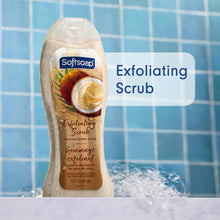 Softsoap Coconut Butter Scrub Body Wash 4-Pack — Complimentary Gift with $37+ Orders; If the Gift Is Out of Stock or Its Price Rises, Order Cancelled with Full Refund Before Shipment