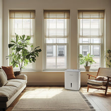 Frigidaire 35-Pint Dehumidifier — Complimentary Gift with $437+ Orders; If the Gift Is Out of Stock or Its Price Rises, Order Cancelled with Full Refund Before Shipment