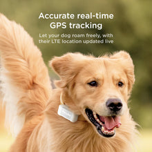 Petcube Bites 2 Lite with GPS Tracker Bundle | Interactive Pet Security Camera with Treat Dispenser and GPS LocationT… — Complimentary Gift with $259+ Orders; If the Gift Is Out of Stock or Its Price Rises, Order Cancelled with Full Refund Before Shipment