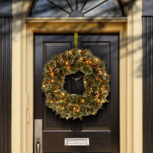 National Tree Company 24" Pre-Lit Christmas Wreath, Glittery Bristle Pine, White Lights — Complimentary Gift with $69+ Orders; If the Gift Is Out of Stock or Its Price Rises, Order Cancelled with Full Refund Before Shipment