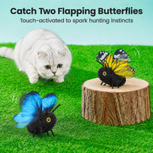 Potaroma 2 Pcs Flapping Butterfly Interactive Cat Toys with Catnip — Complimentary Gift with $37+ Orders; If the Gift Is Out of Stock or Its Price Rises, Order Cancelled with Full Refund Before Shipment