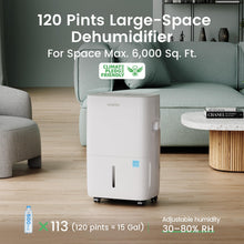 Waykar 80-Pint Energy Star Dehumidifier, 5,000 Sq Ft — Complimentary Gift with $452+ Orders; If the Gift Is Out of Stock or Its Price Rises, Order Cancelled with Full Refund Before Shipment