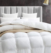 Maple&amp;Stone Feather Down Comforter Queen, All Season Duvet Insert — Complimentary Gift with $78+ Orders; If the Gift Is Out of Stock or Its Price Rises, Order Cancelled with Full Refund Before Shipment