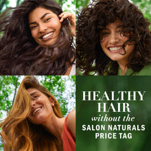 Herbal Essences Argan Oil Repair Shampoo — Complimentary Gift with $51+ Orders; If the Gift Is Out of Stock or Its Price Rises, Order Cancelled with Full Refund Before Shipment