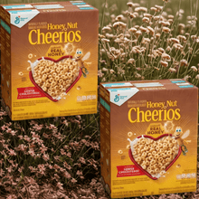 [ 2 PACK ] Honey Nut Cheerios Cereal, 48 oz.